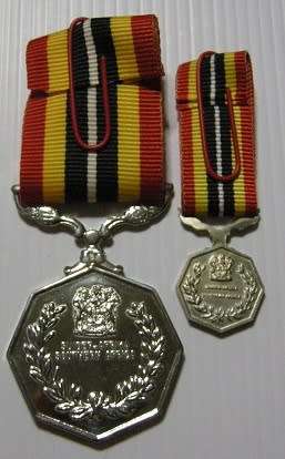 Full Size Southern Africa Medal Double Face Susp Tall Grass Poor Detail Number on Rim w/ Miniature