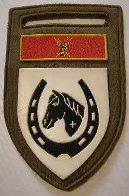 SADF Equestrian Centre Rubberised Shoulder Flash No Pin