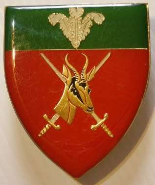 Southern Cape Command Shoulder Flash Pins Intact