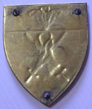 Southern Cape Command Shoulder Flash Pins Intact