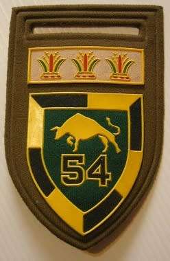54 Infantry Battalion Rubberised Shoulder Flash Pin Intact