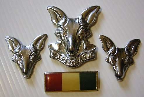 SA Intelligence Corps Chromed Cap & Collar Badges & Beret Bar No Bolts / Pins