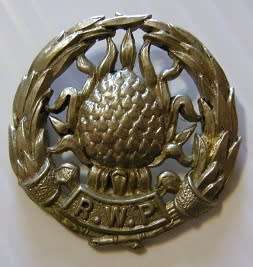 Regiment Western Province White Metal Collar Badge No Loops