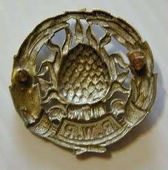 Regiment Western Province White Metal Collar Badge No Loops