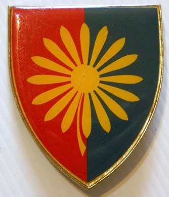 Northern Transvaal Command Workshop Shoulder Flash Yellow Type Only Two Pins
