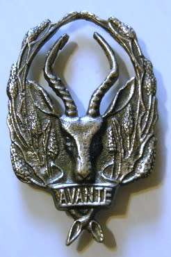 5 SA Infantry Battalion Cap Badge Voided Type No Bolts
