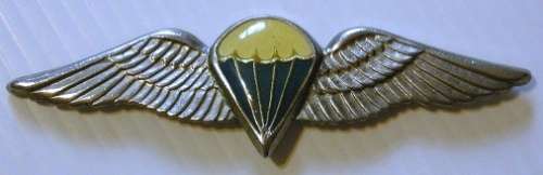 SA Parachute Dispatcher / 50 Jumps or More Wing Full Size No Pins