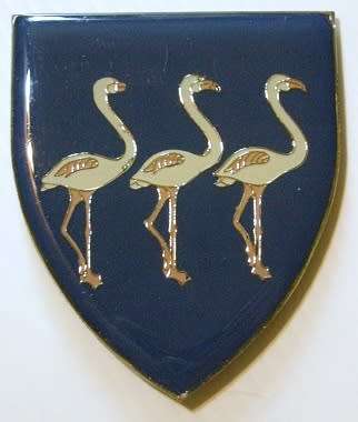 Brakpan Commando Shoulder Flash No Pins