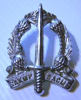 SA Corps of Military Police Chromed Cap Badge Loop Type