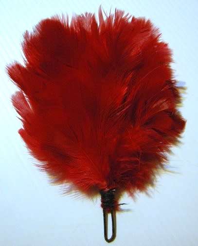 Transvaal Scottish Red Hackle