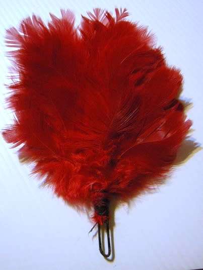 Transvaal Scottish Red Hackle