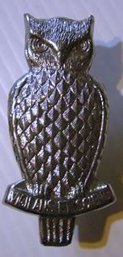 Military Intelligence Chromed Cap Badge