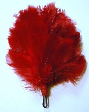 Transvaal Scottish Red Hackle