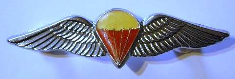 SA Parachute Freefall Wing Full Size