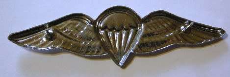 SA Parachute Freefall Wing Full Size