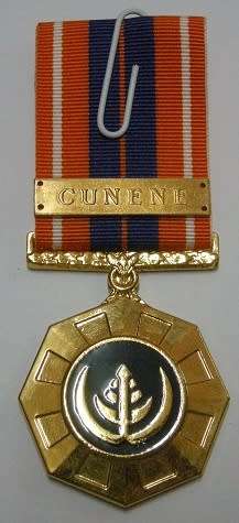 Full Size Pro Patria Medal Numbered at Back Flush Epoxy w/ Cunene Bar