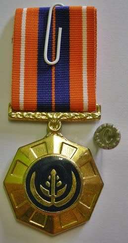 Full Size Pro Patria Medal Numbered at Back Flush Epoxy w/ Cunene Button