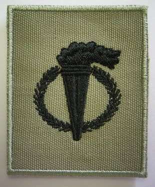 SANDF Pathfinder Badge Embroidered on Material