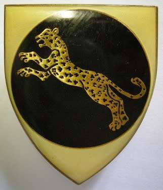 SWA 911 Battalion Shoulder Flash Pin Intact Dinnes 5213