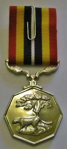 Full Size Southern Africa Medal Double Face Suspender Tall Grass Poor Detail Nr Engraved on Rim