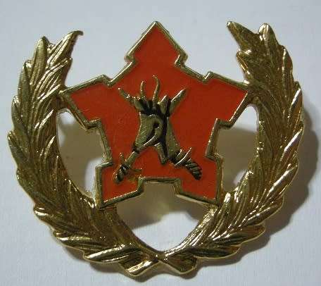 Army Breast Badge 5 Year Volunteer Service Dinnes 904