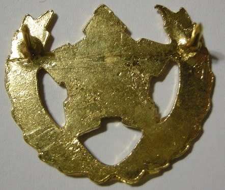 Army Breast Badge 5 Year Volunteer Service Dinnes 904