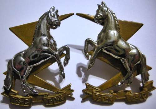 Technical Services Corps Bi-Metal Collar Badges Pair