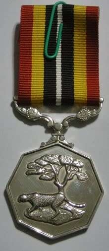 Full Size Southern Africa Medal Double Face Suspender Tall Grass Poor Detail Nr Engraved on Rim