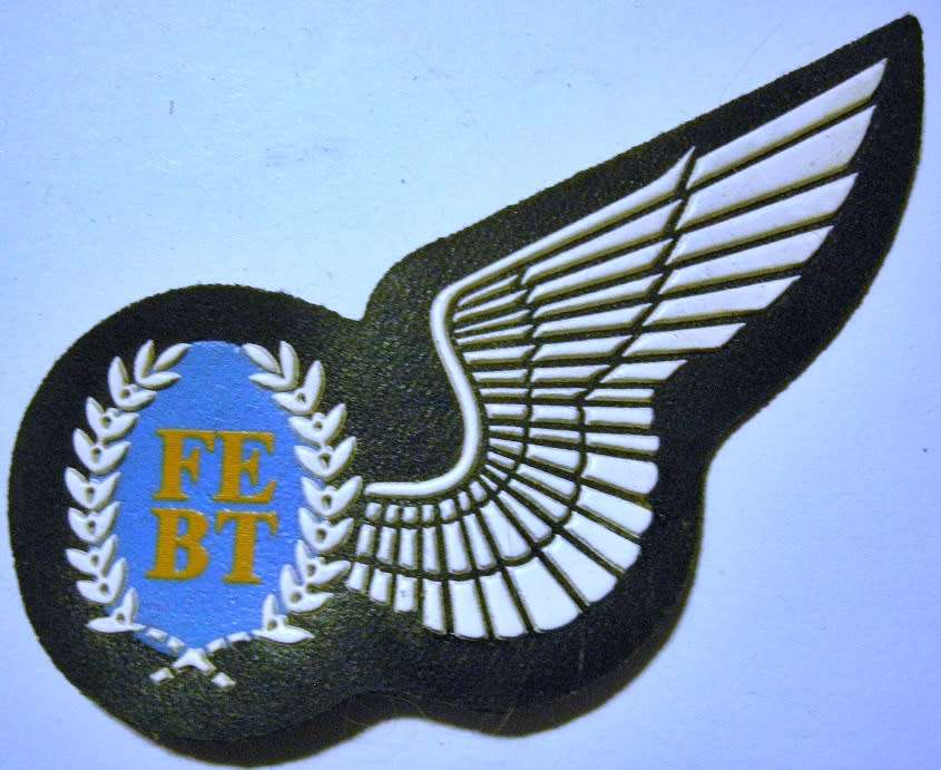 SAAF Flight Engineer Wing Rubberised