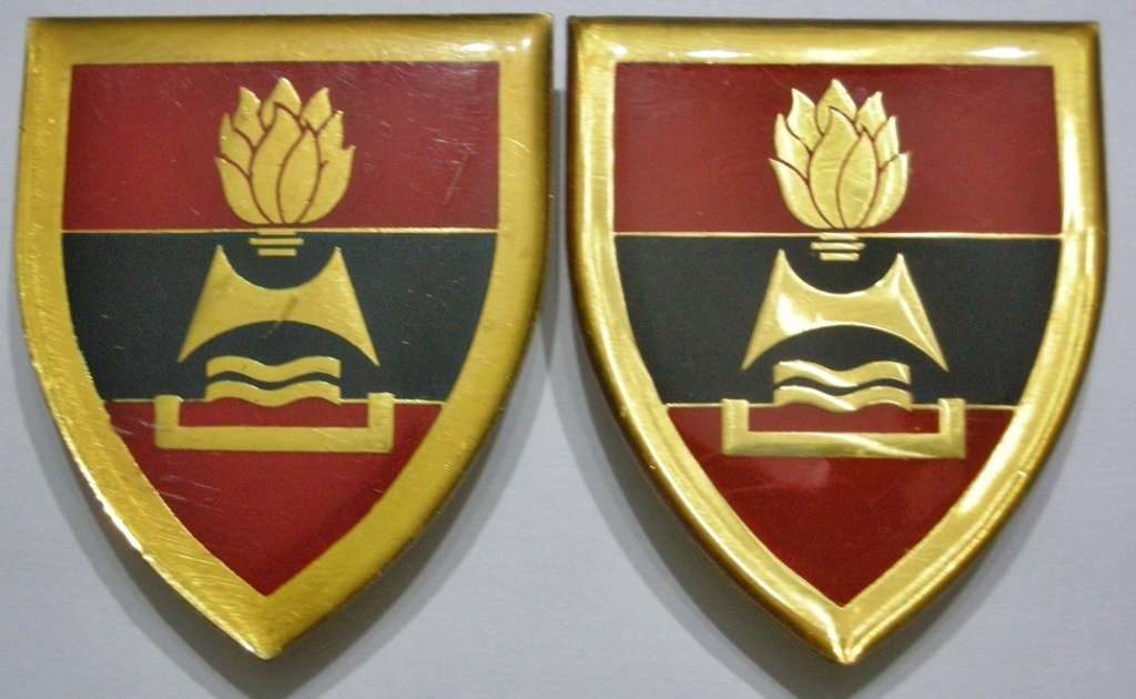 2 Field Engineer Regiment Shoulder Flashes Pair Pins Intact Dinnes 4497