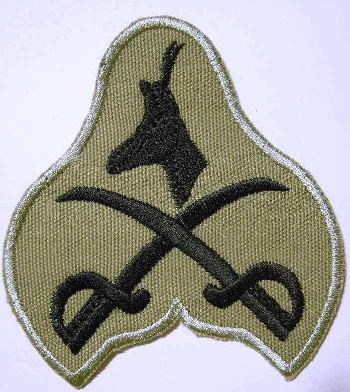 SANDF Advanced PT Instructor Badge Embroidered on Material