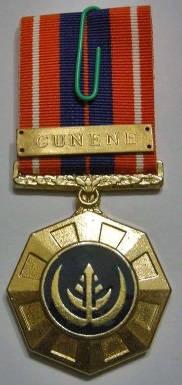 Full Size Pro Patria Medal Numbered at Back Flush Epoxy w/ Cunene Bar