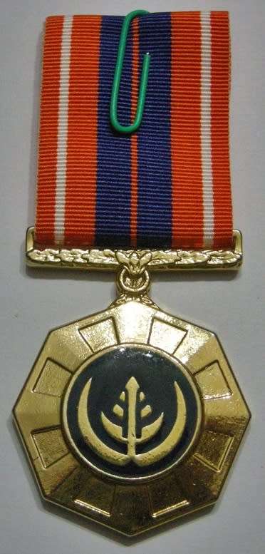 Full Size Pro Patria Medal Numbered at Back Flush Epoxy