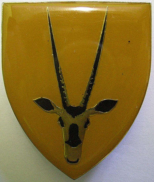 Shoulder Flash 8 SAI 3 Pins