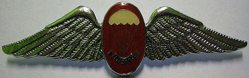 Parachute Wing Instructor Freefall