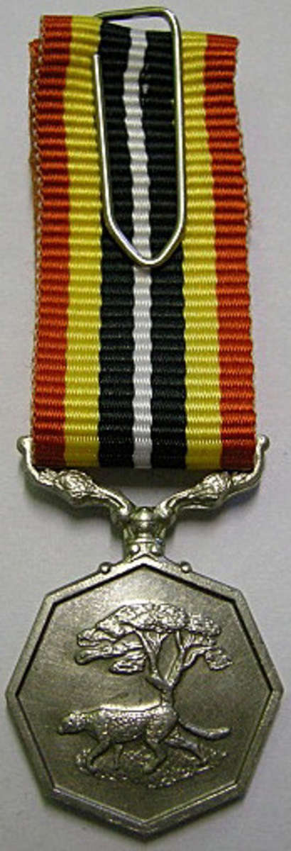 Miniature Southern Africa Medal