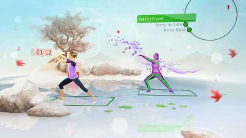Xbox 360 4GB Console with Kinect Sensor: With Your Shape Game: Fitness Evolved