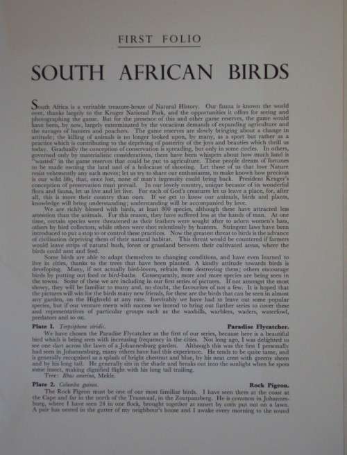 First Folio of South African Birds - 12 Colour Plates (signed)