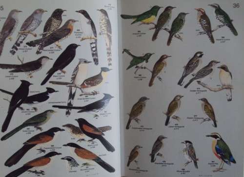 Roberts' Birds of Southern Africa -  Gordon Lindsay Maclean