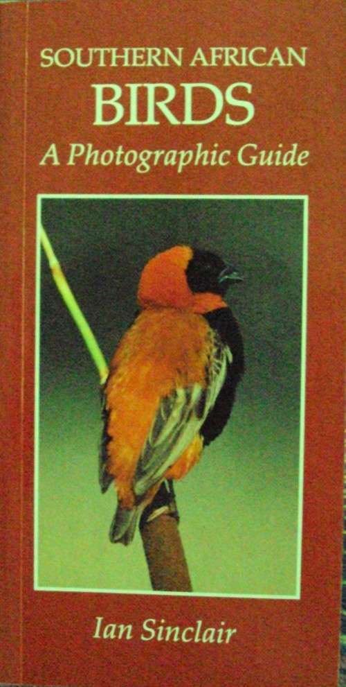 Southern African Birds-  A Photographic Guide: Ian Sinclair
