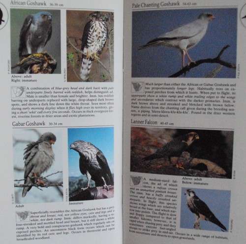 Southern African Birds-  A Photographic Guide: Ian Sinclair