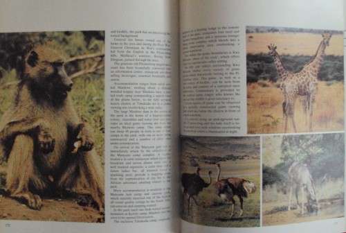 A Nation On The March - A Celebration of Bophuthatswana Decade of Independence