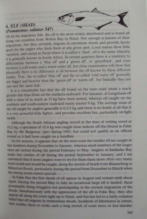 Strike! The Book on Salt Water Fishing in Southern Africa