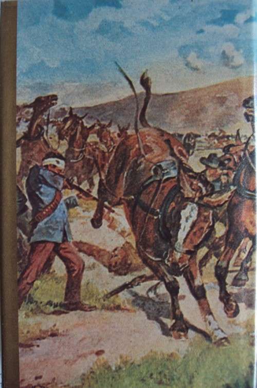 Through Shot and Flame