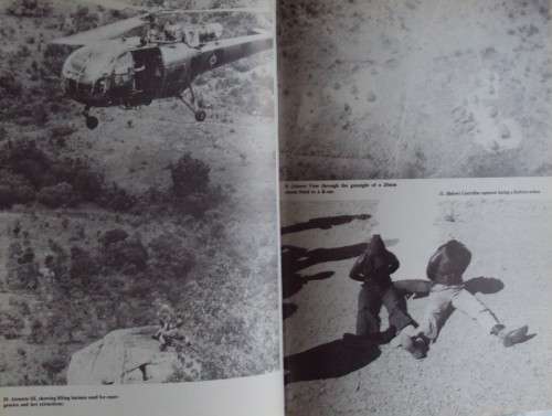 War in the Air - Rhodesian Air Force 1935-1980: Dudley Cowderoy & Roy C. Nesbit