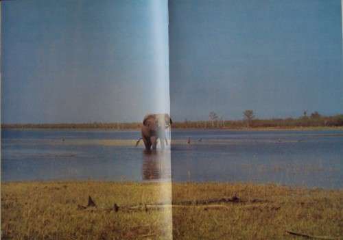 Beneath A Zimbabwe Sun - Beverly White