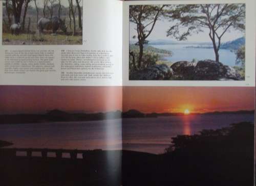 Beneath A Zimbabwe Sun - Beverly White