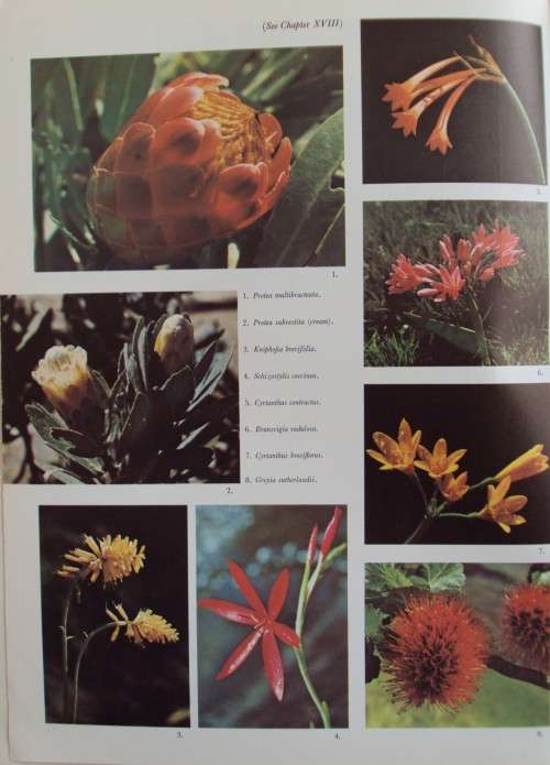 Barrier of Sprears Drama of the Drakensberg R O Pearse