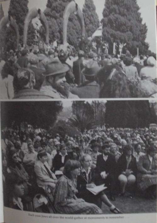 And So He Survived Gabriel Weiss Afterword by Peter Stiff