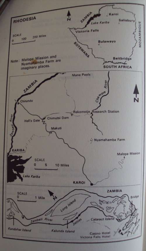 a Time of Madness Robert Early